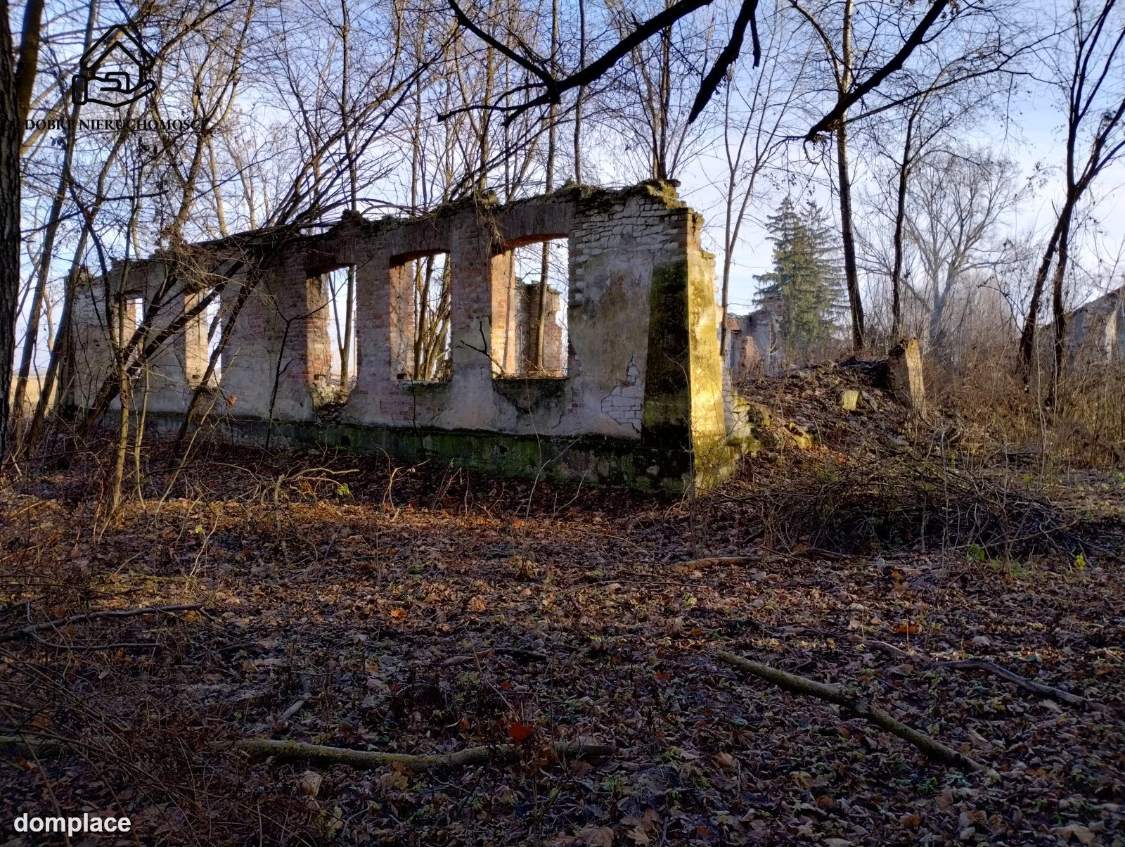 Działka — Krasne — zdjęcie 5