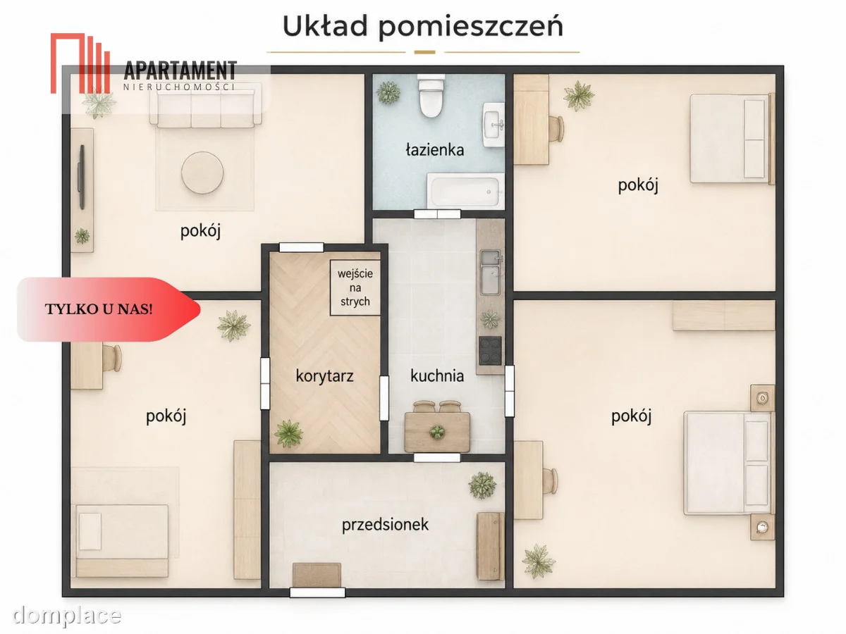 Dom z łąką 2,74ha — zdjęcie 12