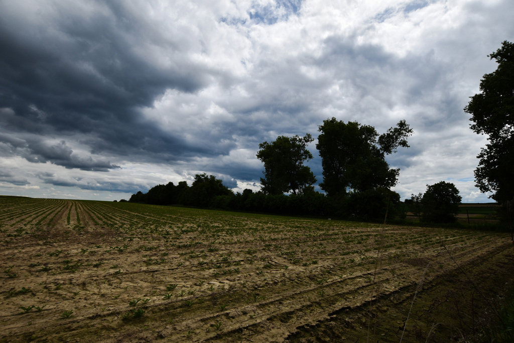 Grunt z MPZP - Przeworsk