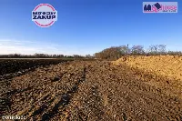 Gotowa działka pod halę 600 m² | Gdańsk okolice — zdjęcie 6