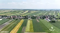 dz budowlana 11.4a z projektem bliźniaka | Miechów — zdjęcie 6