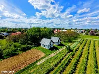 nowoczesny dom w projekcie Sasanki 3 (E) OZE — zdjęcie 8