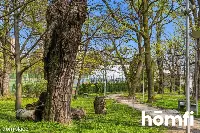 2 piętra z duszą|centrum Bielska|Park Słowackiego — zdjęcie 20