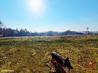 Królewskie Wzgórza oferta inwestycyjna — zdjęcie 5