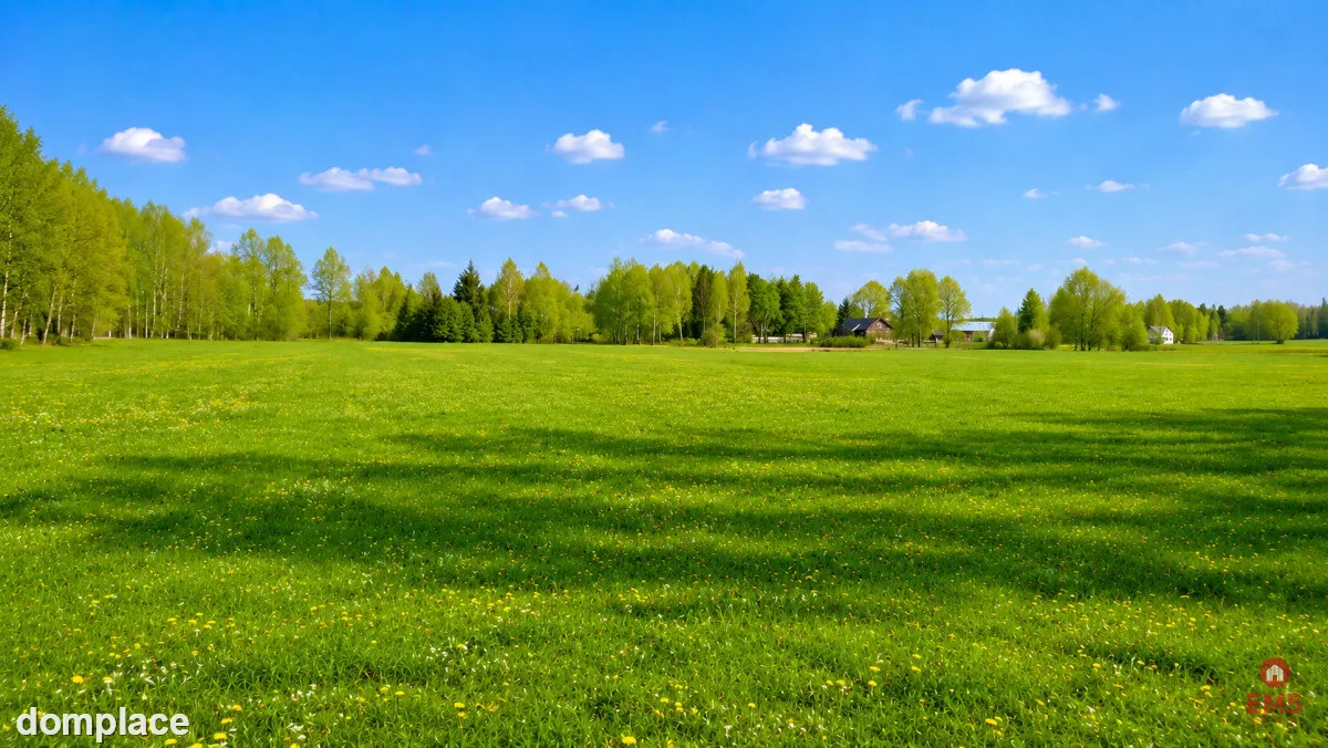 Działka rolno-budowlana 2,5 ha. Nowosiółki — zdjęcie 6