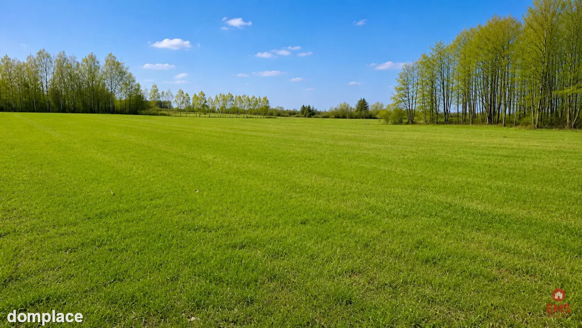 Działka rolno-budowlana 2,5 ha. Nowosiółki — zdjęcie 8