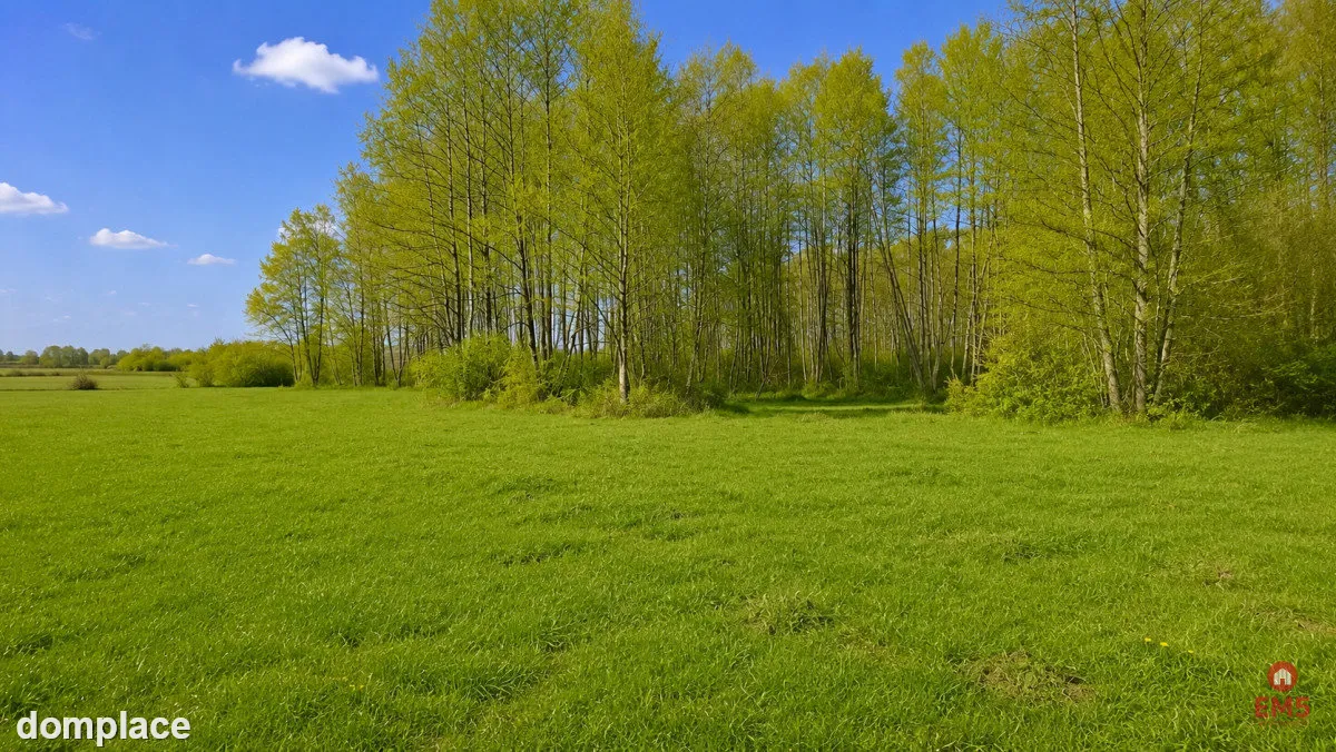 Działka rolno-budowlana 2,5 ha. Nowosiółki — zdjęcie 9