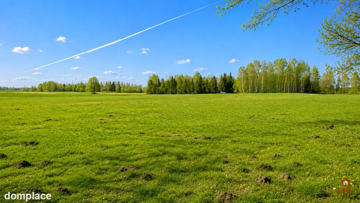 Działka rolno-budowlana 2,5 ha. Nowosiółki — zdjęcie 10