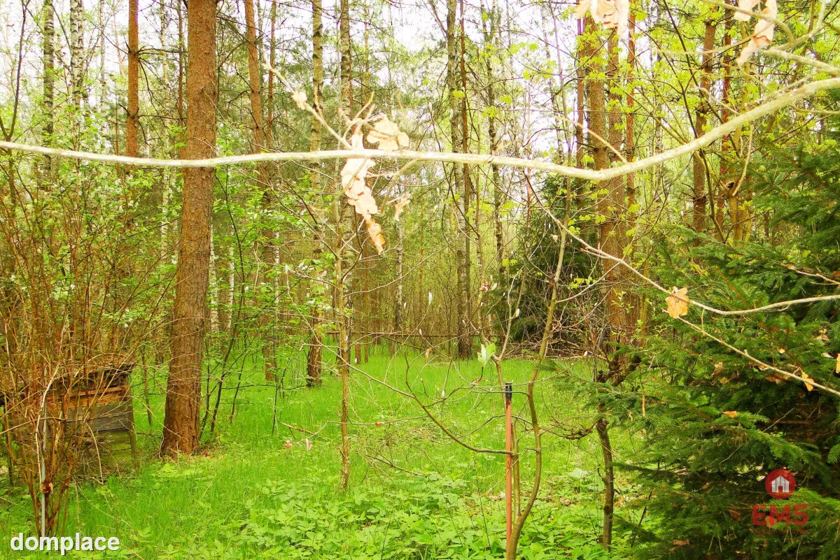 Działka rekreacyjno-budowlana 0,8 ha, pod miastem — zdjęcie 4