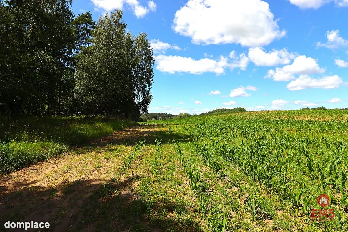 Działka budowlana na Mazurach Rożyńsk Wielki — zdjęcie 5
