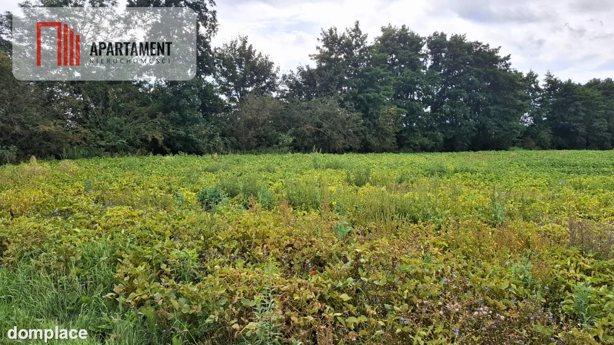 DZIAŁKI ŻOŁĘDOWO – 1161 m² I 1470 m² — zdjęcie 2
