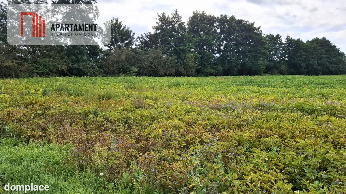 DZIAŁKI ŻOŁĘDOWO – 1161 m² I 1470 m² — zdjęcie 3