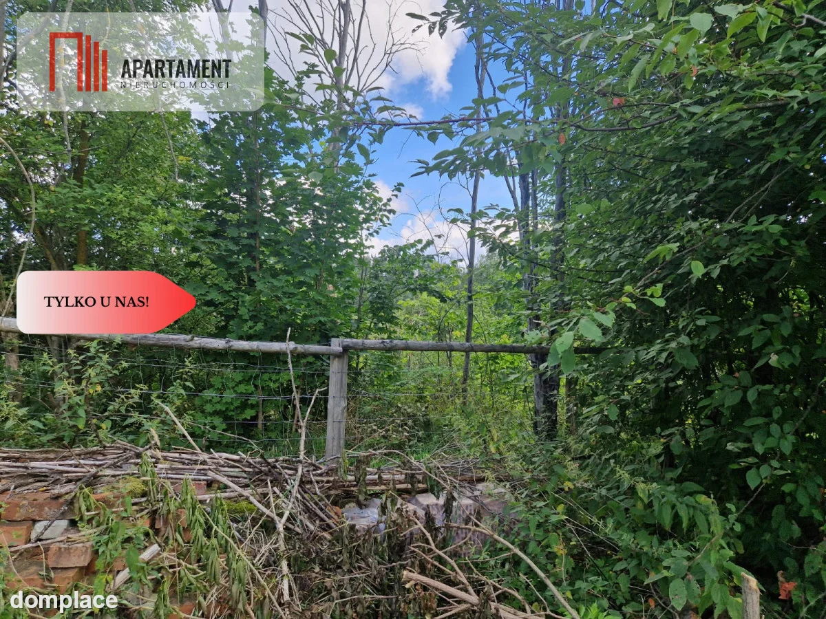 Dom w pięknej okolicy Drawskiego Parku Narodowego — zdjęcie 22