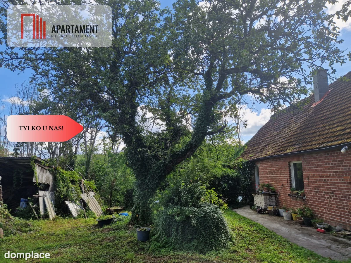 Dom w pięknej okolicy Drawskiego Parku Narodowego — zdjęcie 17