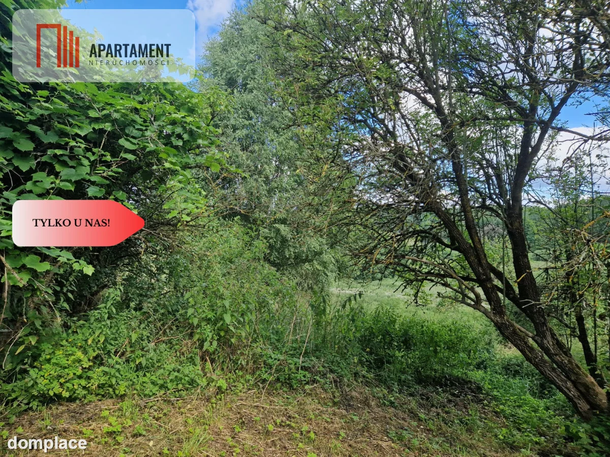 Dom w pięknej okolicy Drawskiego Parku Narodowego — zdjęcie 26