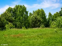 Działka inwestycyjna 1,30 ha | PnB | 36 lokali — zdjęcie 3