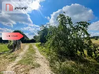 Dom na wsi wśród pól i lasów — zdjęcie 5