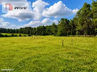 Działki budowlane z WZ przy jeziorach i lesie!! — zdjęcie 5