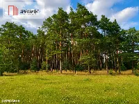 Działki budowlane z WZ przy jeziorach i lesie!! — zdjęcie 9