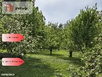 Dom w spokojnej okolicy blisko jeziora — zdjęcie 16