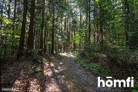 Unikat: Dom 262m2 na 1 ha w środku lasu — zdjęcie 4