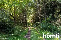 Unikat: Dom 262m2 na 1 ha w środku lasu — zdjęcie 18