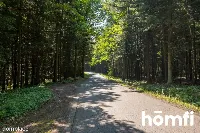Unikat: Dom 262m2 na 1 ha w środku lasu — zdjęcie 19