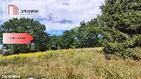 Działki o powierzchni  2579 m2/Chróstnik — zdjęcie 3