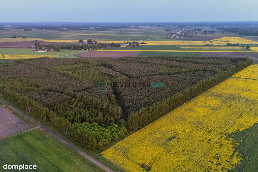 Las, działka leśna, 5,5 ha