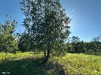 Działka budowlana 916 m² Łomianki w sąsiedztwie Puszczy Kampinoskiej — zdjęcie 2