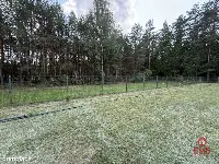 Dom w otulinie lasu blisko miasta — zdjęcie 6