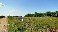 Działka 1458 m2 w Henrykowie — zdjęcie 3