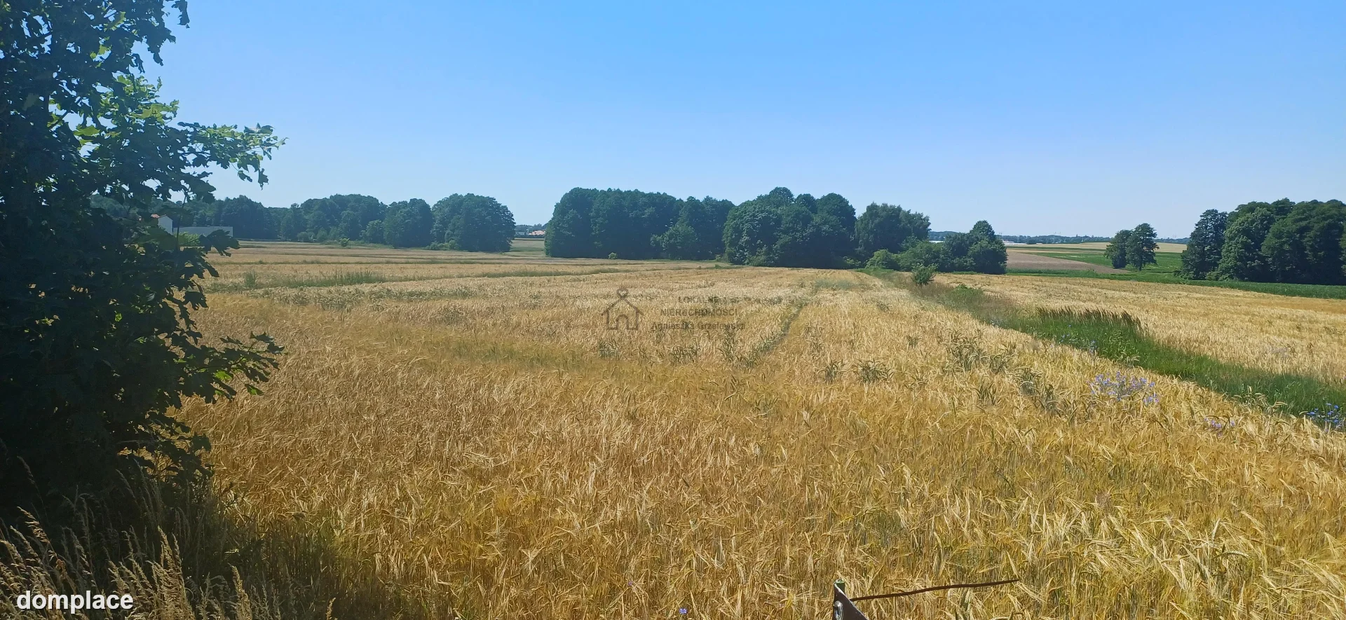 Działka — łódzki wschodni, Rzgów — zdjęcie 10