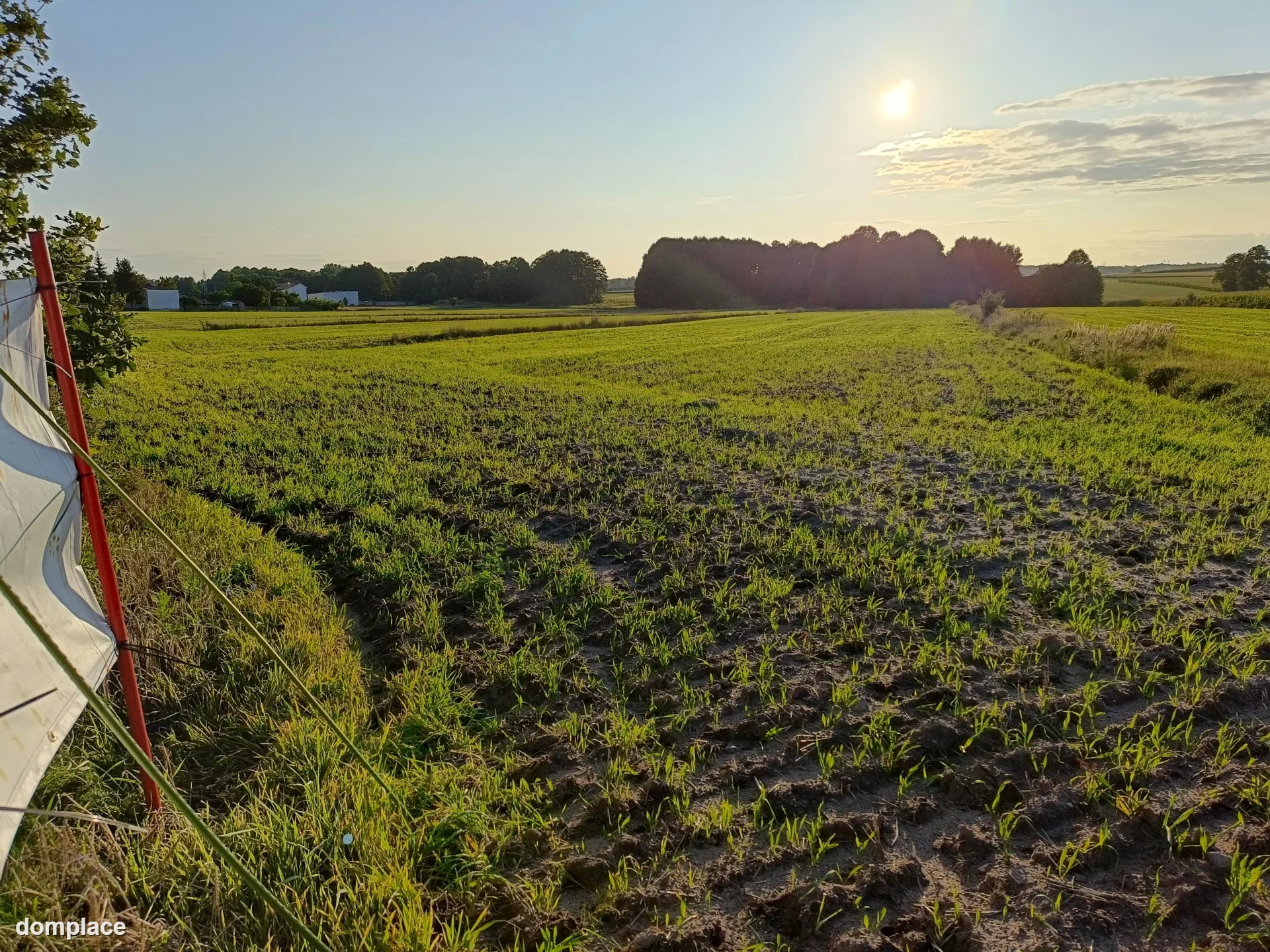Działka — łódzki wschodni, Rzgów — zdjęcie 15
