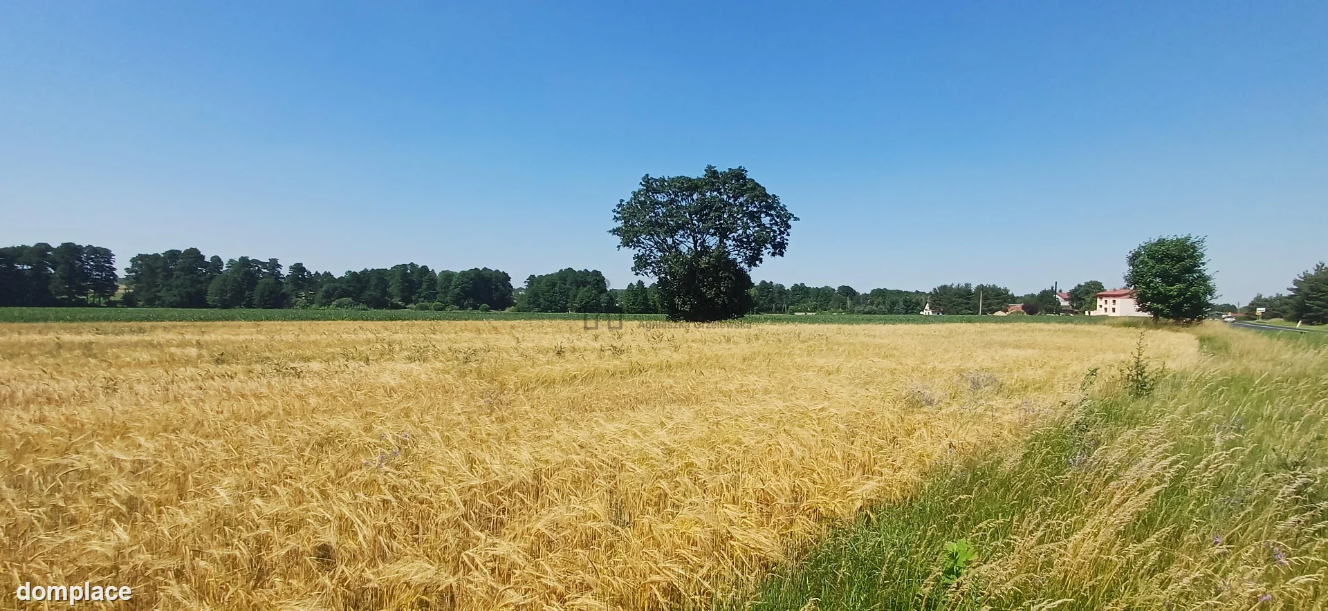 Działka — łódzki wschodni, Rzgów — zdjęcie 4