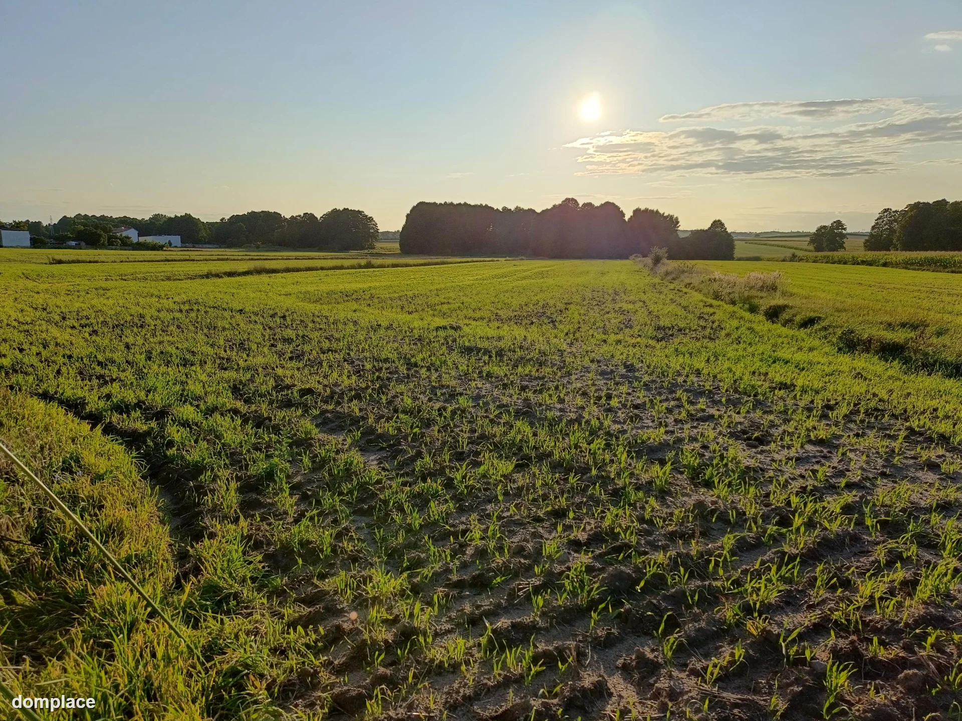 Działka — łódzki wschodni, Rzgów — zdjęcie 6
