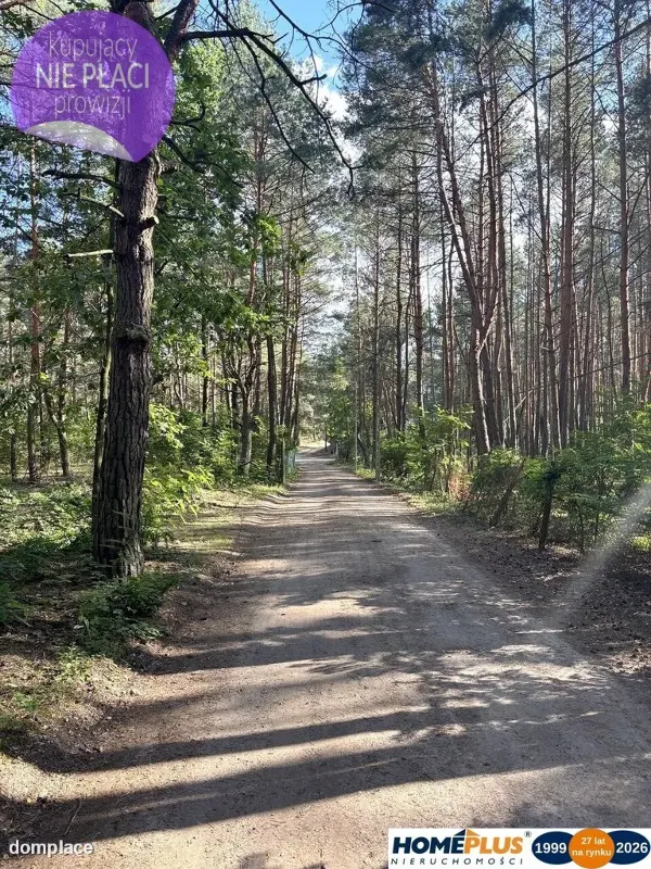 Działka budowlana w lesie, Łosie koło Radzymina