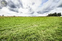 Działka — wałbrzyski, Walim — zdjęcie 5