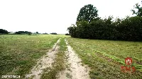 Budynek/hala na wynajem w pobliżu Jeżewa Starego — zdjęcie 8