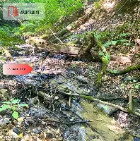 Z własnym lasem, stawem i dostępem do jeziora — zdjęcie 16
