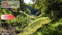 Z własnym lasem, stawem i dostępem do jeziora — zdjęcie 8
