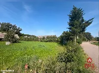 Siedlisko z domem i zabudowaniami I Działka 4500m — zdjęcie 4