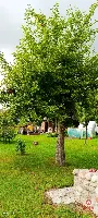 Wyjątkowe siedlisko na Podlasiu – zabytkowy dom — zdjęcie 30
