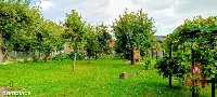 Wyjątkowe siedlisko na Podlasiu – zabytkowy dom — zdjęcie 33