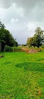 Wyjątkowe siedlisko na Podlasiu – zabytkowy dom — zdjęcie 46
