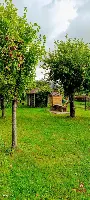 Wyjątkowe siedlisko na Podlasiu – zabytkowy dom — zdjęcie 31