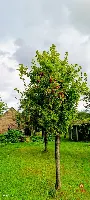 Wyjątkowe siedlisko na Podlasiu – zabytkowy dom — zdjęcie 38