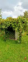 Wyjątkowe siedlisko na Podlasiu – zabytkowy dom — zdjęcie 27