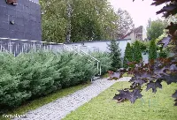 Mieszkanie — Kraków, Salwator — zdjęcie 8