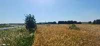 Działka — łódzki wschodni, Rzgów — zdjęcie 13